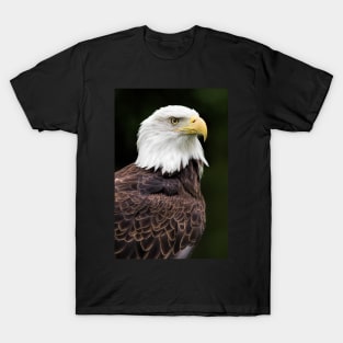 With Dignity Bald Eagle T-Shirt